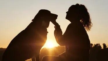 15 expert-backed signs your dog is living its best life