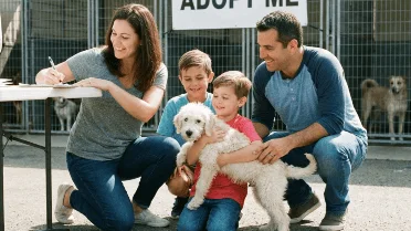 A mother dog protected her puppies from the heavy rain, and now they ...