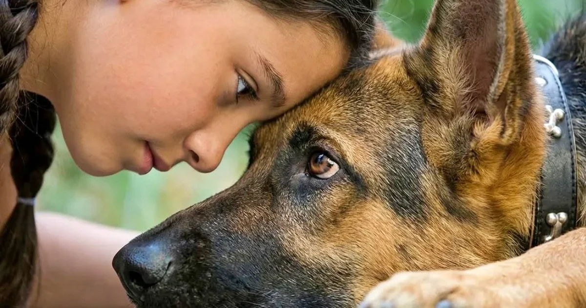 Why Does Your Dog Stare at You All the Time? According to Science
