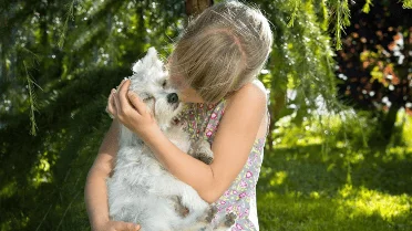 What a dog really feels when you hug it, according to research