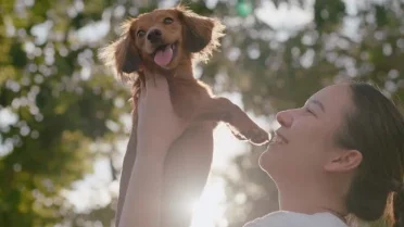 10 Signs Your Dog Trusts You More Than Anyone Else, According to the ...